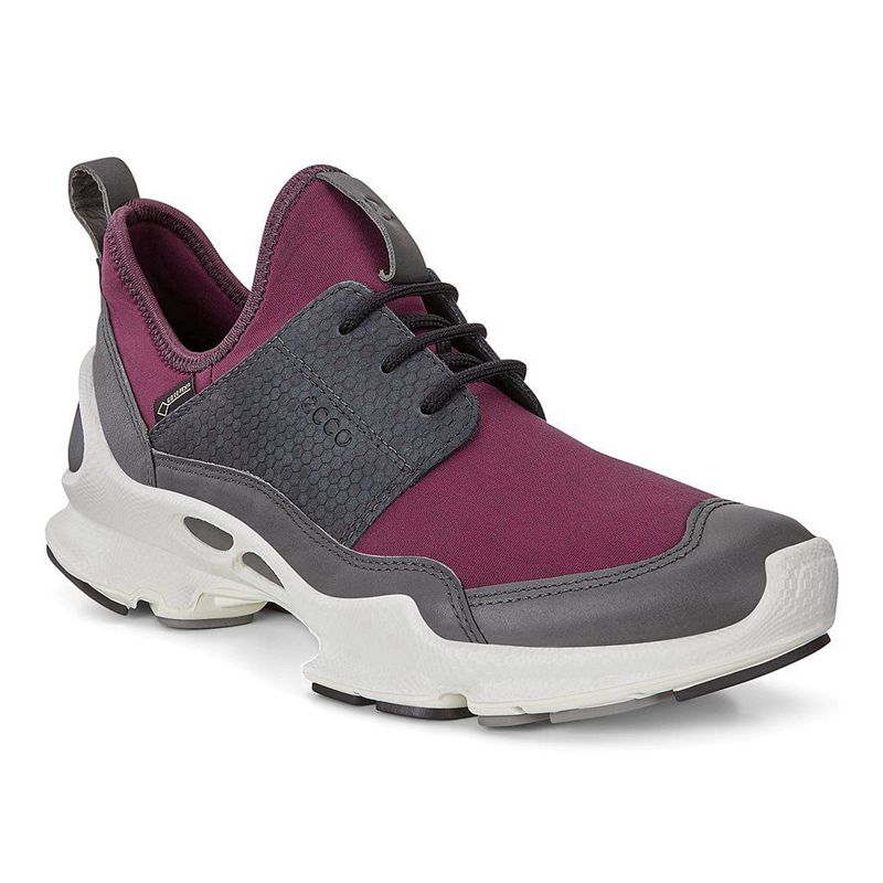 Women Ecco Biom C W - Gore-Tex Purple - India YWJIDB683